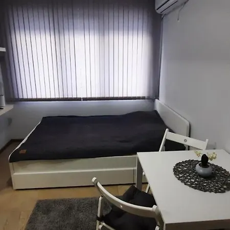 Апартамент Downtown Studio *